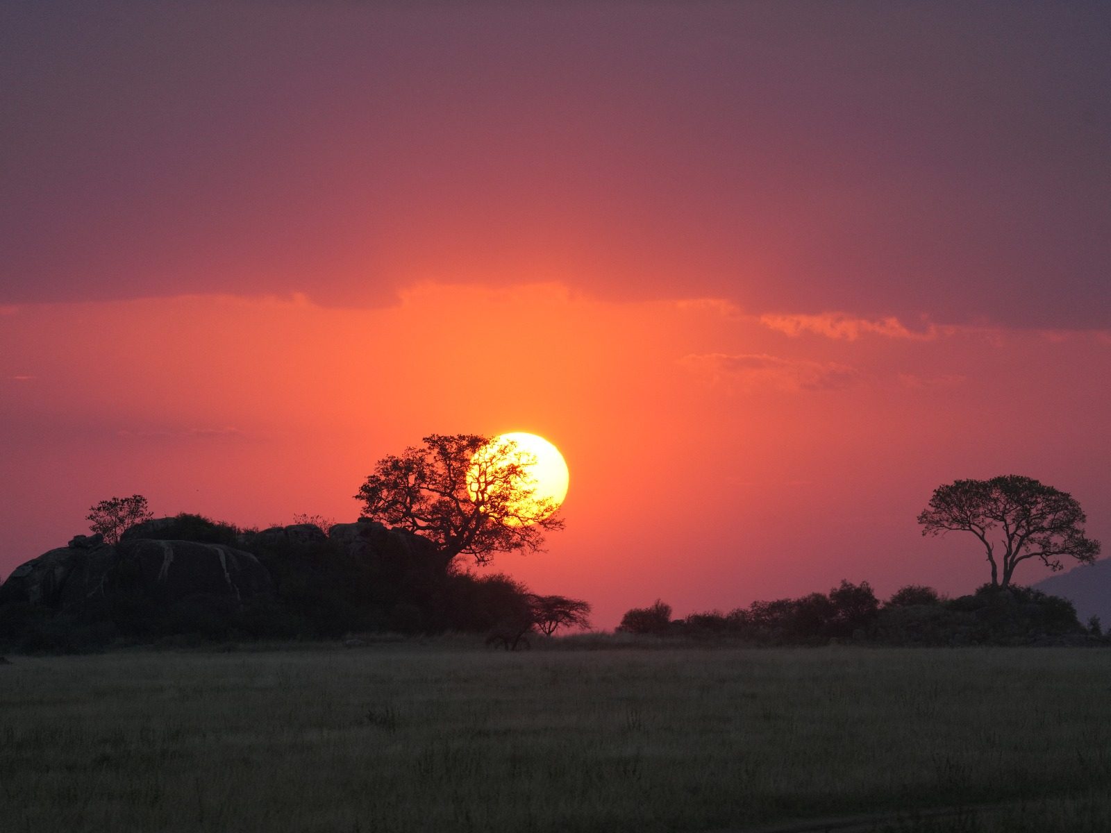 Sunset over the Serengeti kopjes and acacia trees